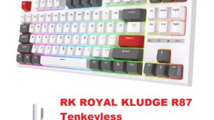RK ROYAL KLUDGE R87 Wired Mechanical Keyboard Tenkeyless TKL 87 Key RGB Backlit Hot-swappable Gamer Keyboard Customized Keycaps with Dust Cover Brown Switch - White Mechanical Keyboard Brown Switch Tenkeyless White