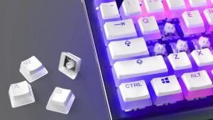 PRIMS-CAPS PRISMCAPS Double Shot PBT Keycaps White SteelSeries PRISMCAPS - Double Shot Pudding-Style Keycaps - Durable PBT Thermoplastic - Compatible with a Wide Range of Mechanical Keyboards